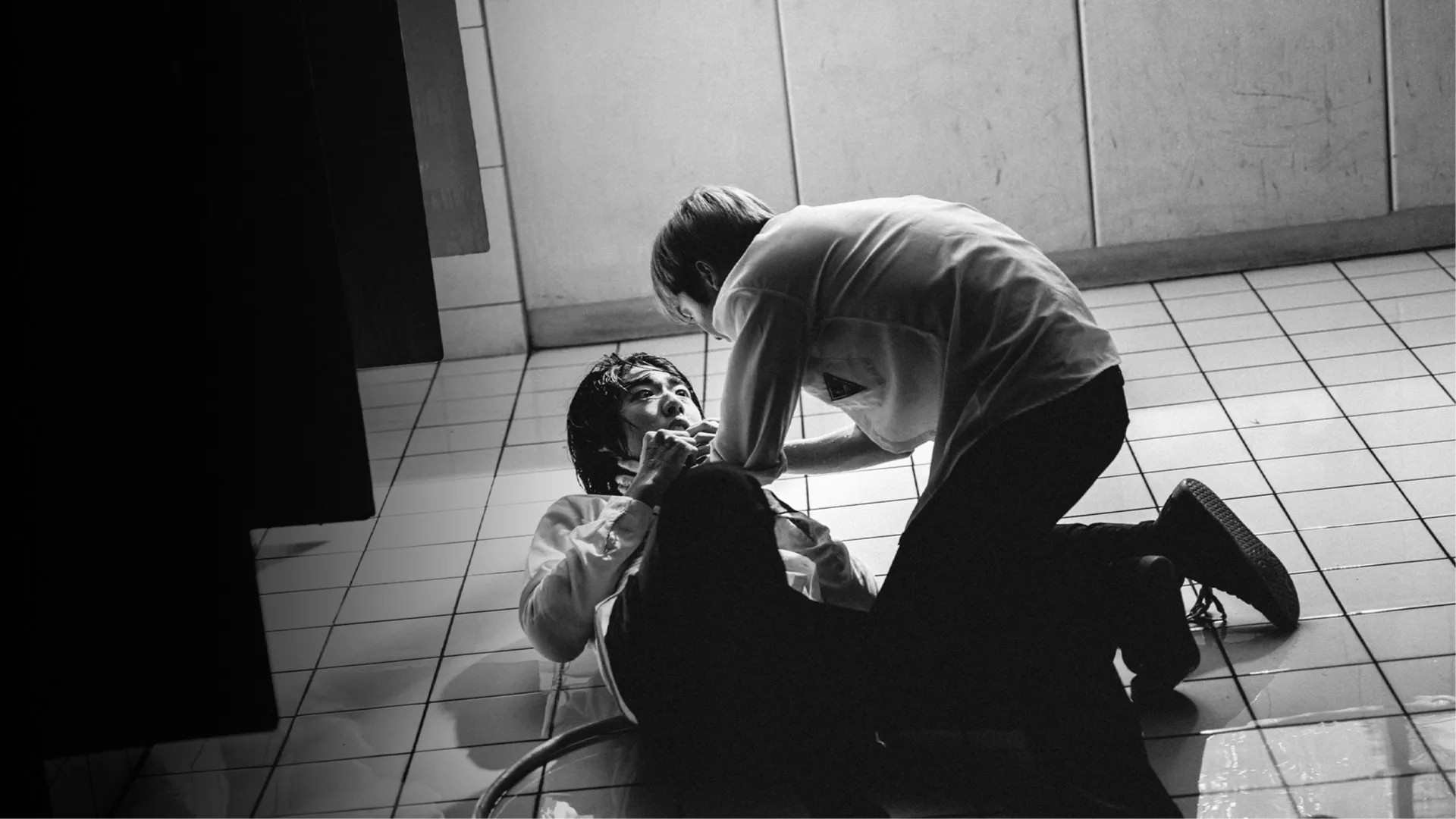 Backdrop for The Bite of the Dolphin