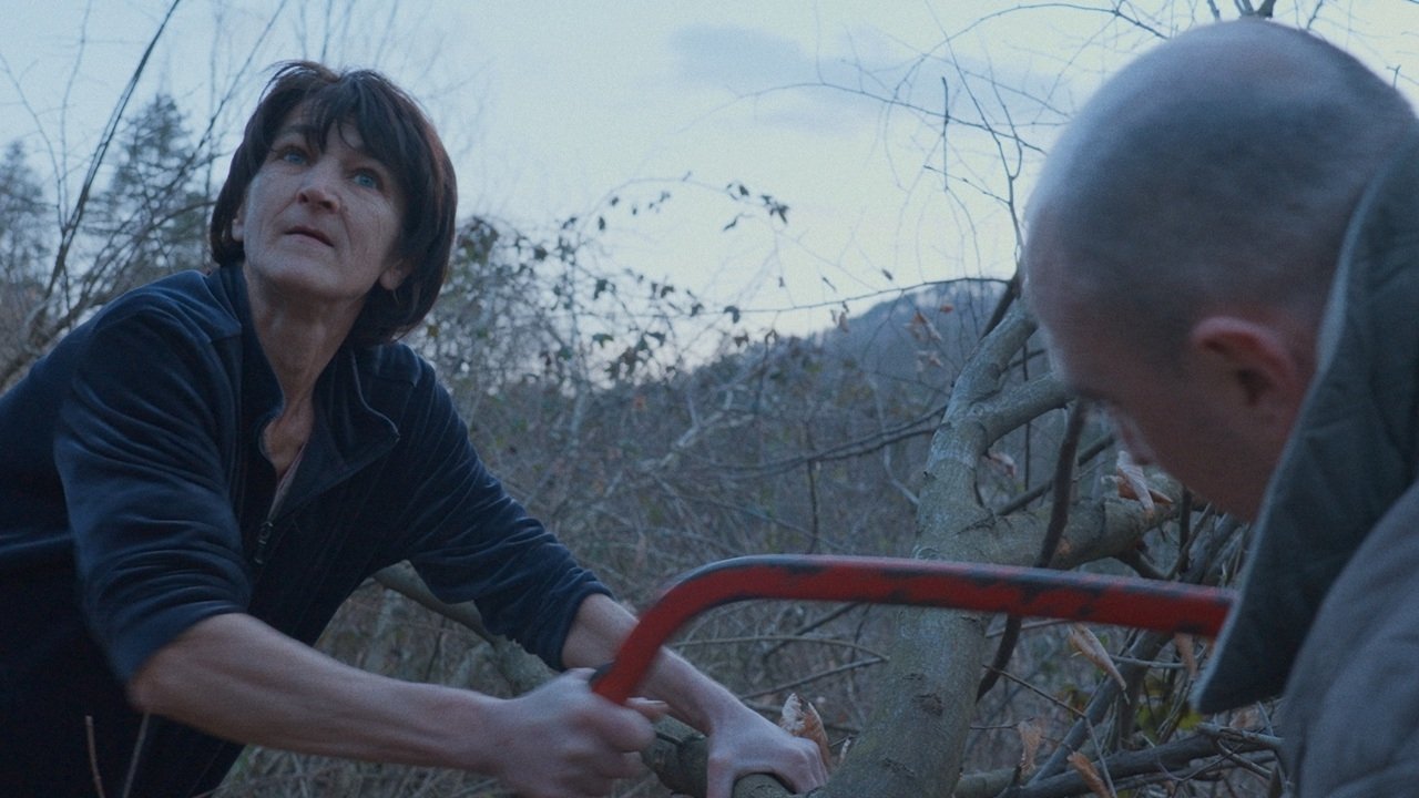 Backdrop for Ceasefire