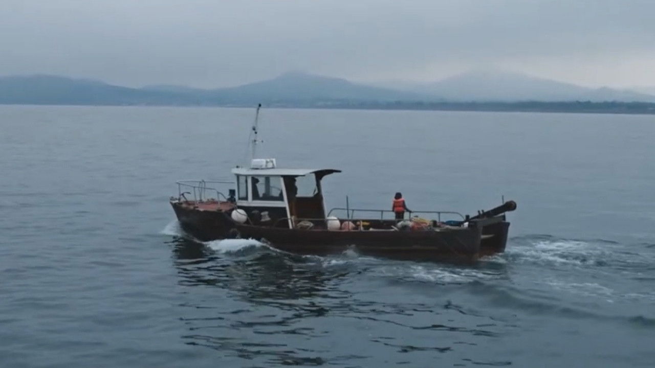 Backdrop for Low Tide