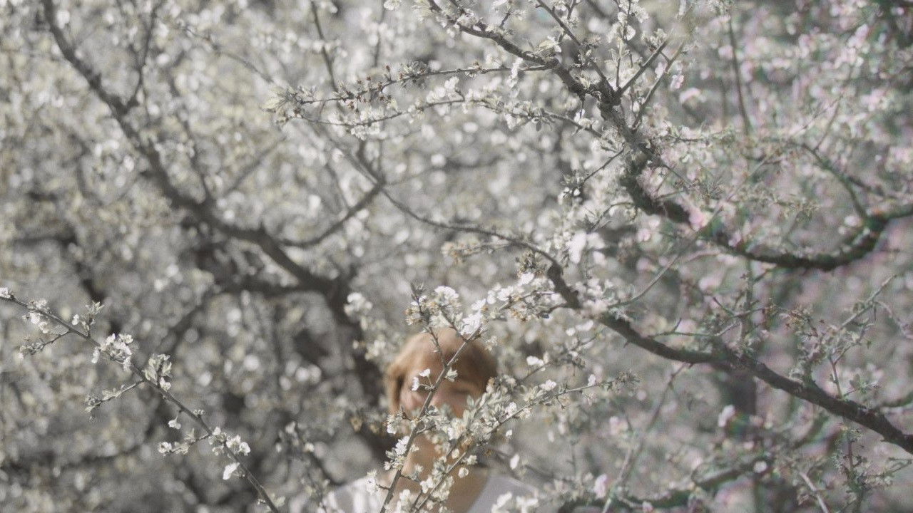 Backdrop for Back to the light