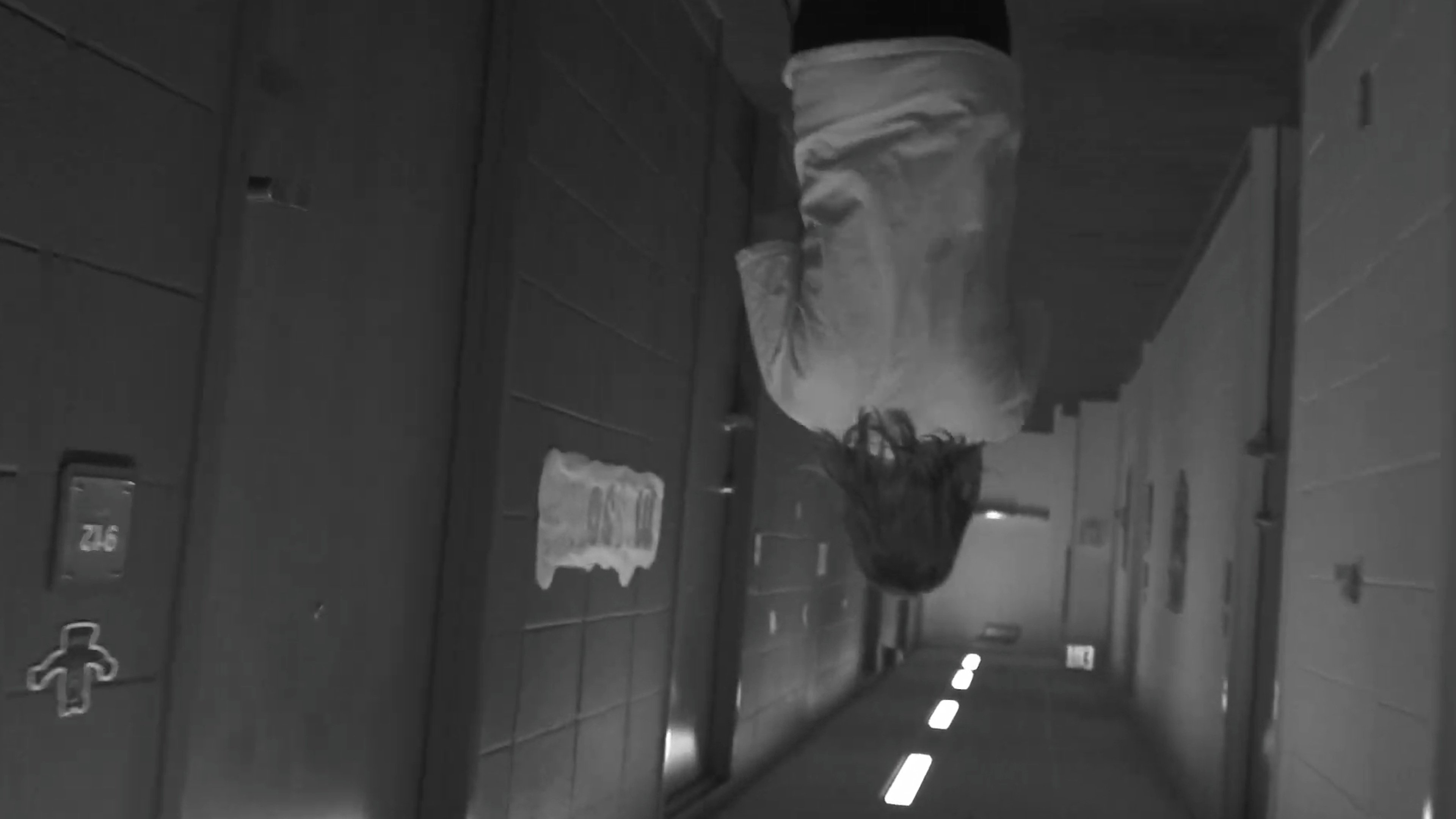 Backdrop for Haunted