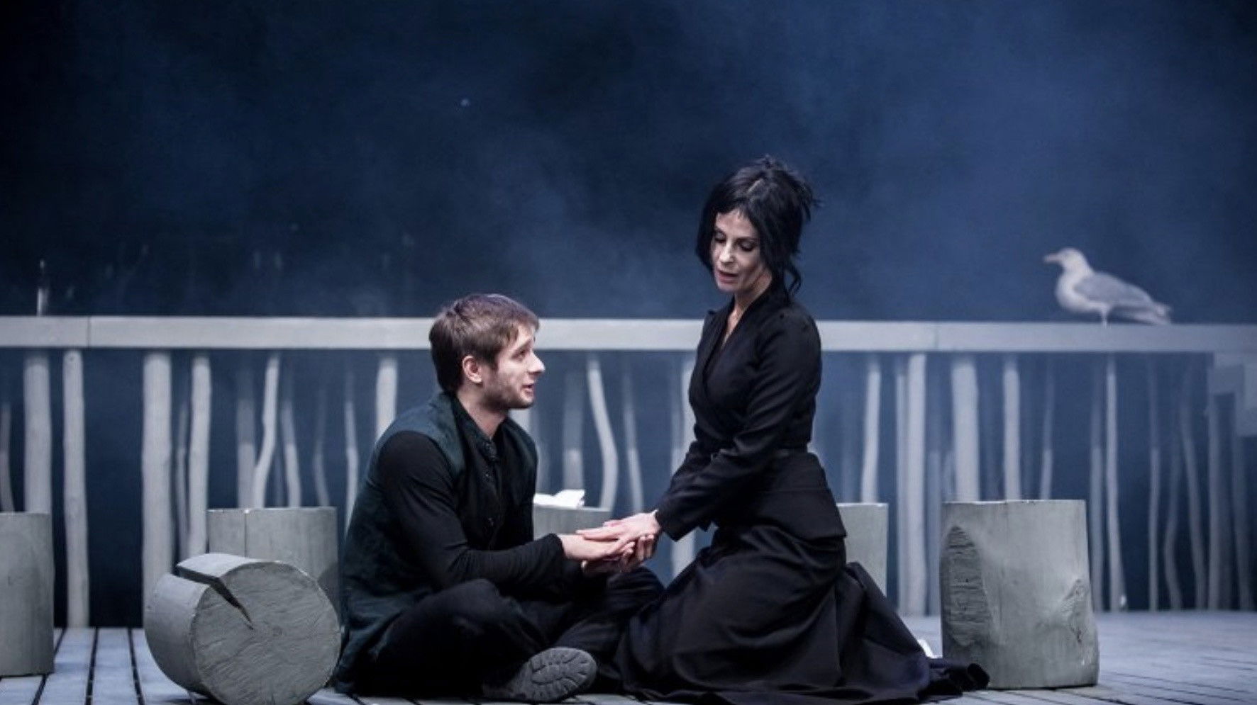 Backdrop for The Seagull