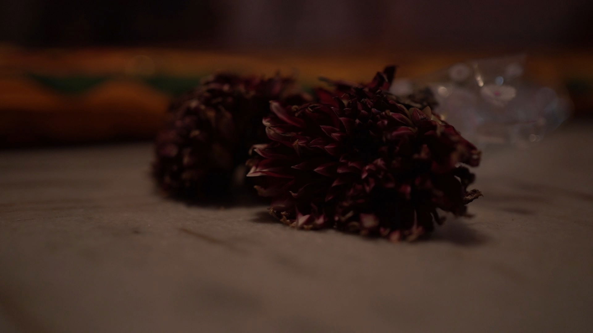 Backdrop for The Silent Scream