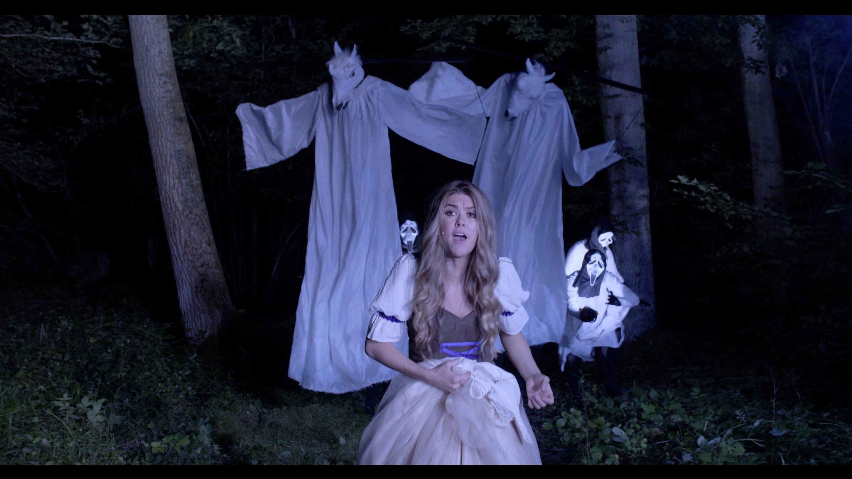 Backdrop for Peter Duncan's Cinderella