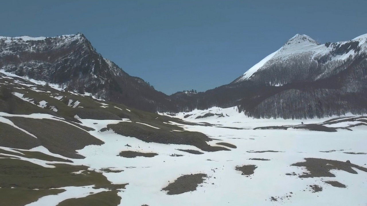 Backdrop for Linea 7000