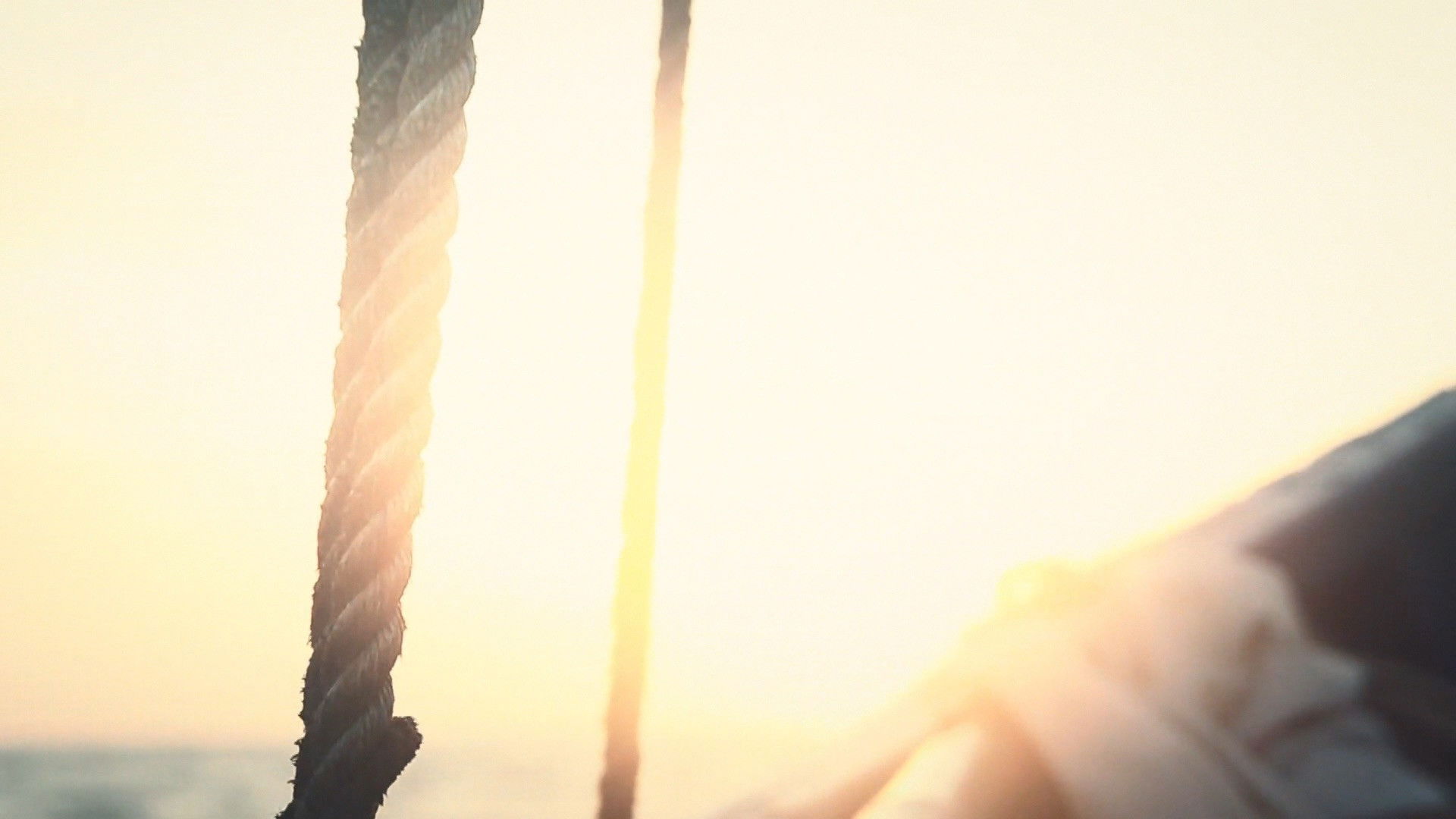 Backdrop for Don't Let Go