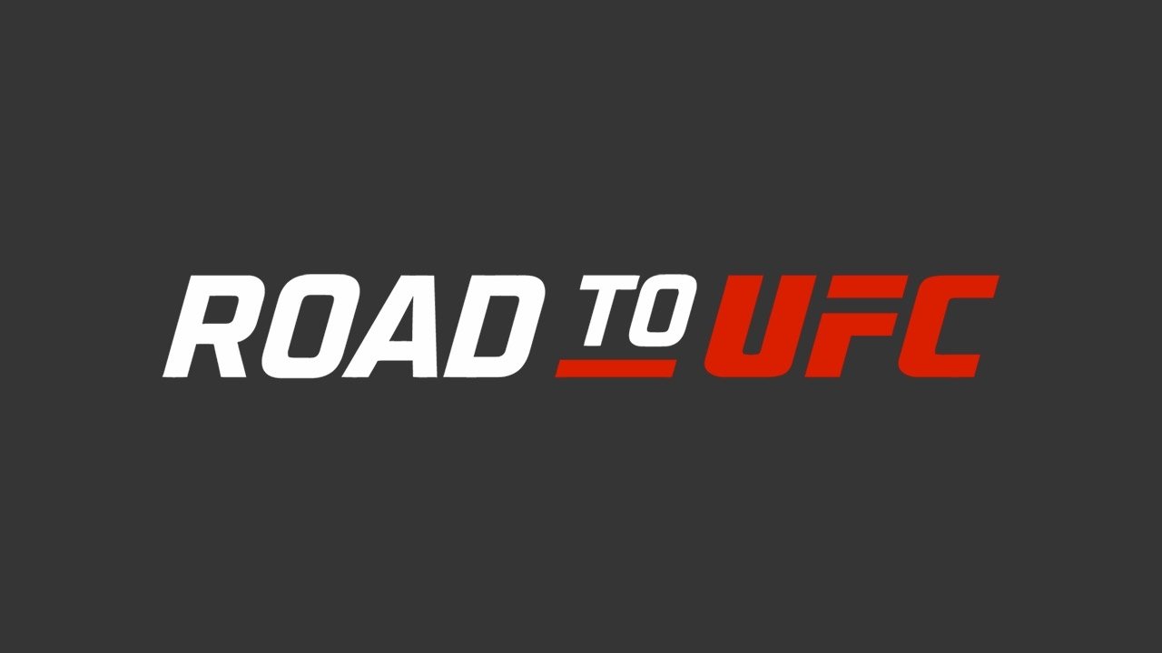 Backdrop for Road to UFC