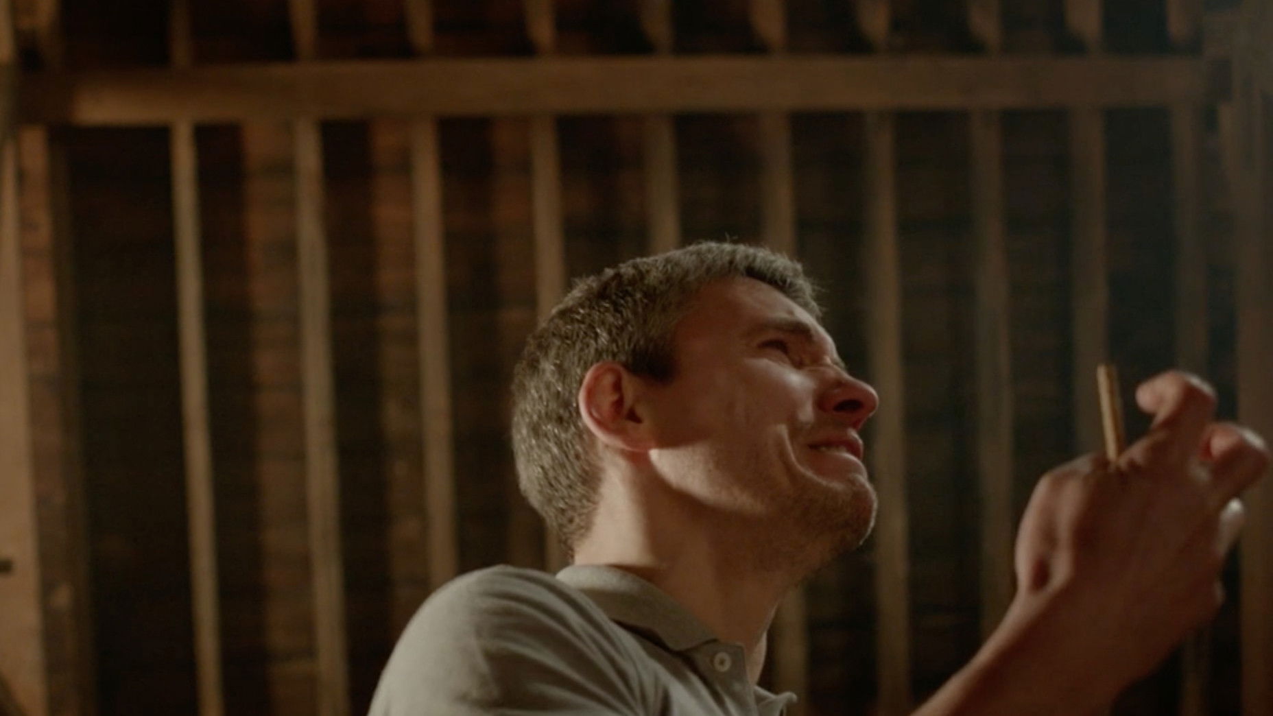 Backdrop for The Show