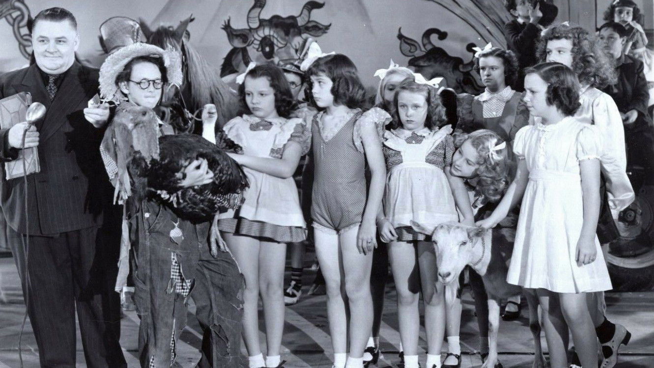 Backdrop for Barnyard Follies