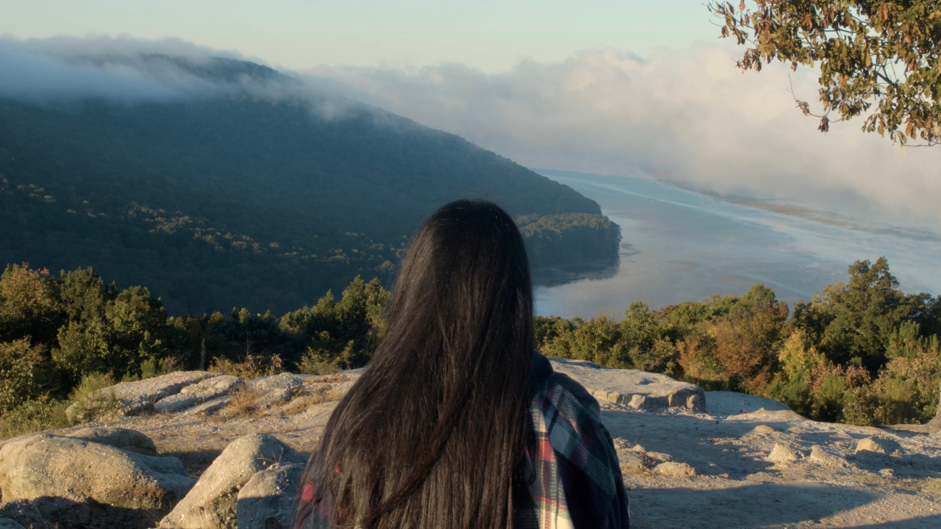 Backdrop for ofrenda