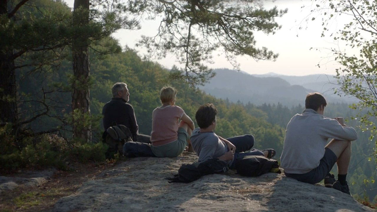 Backdrop for A Fish Swimming Upside Down