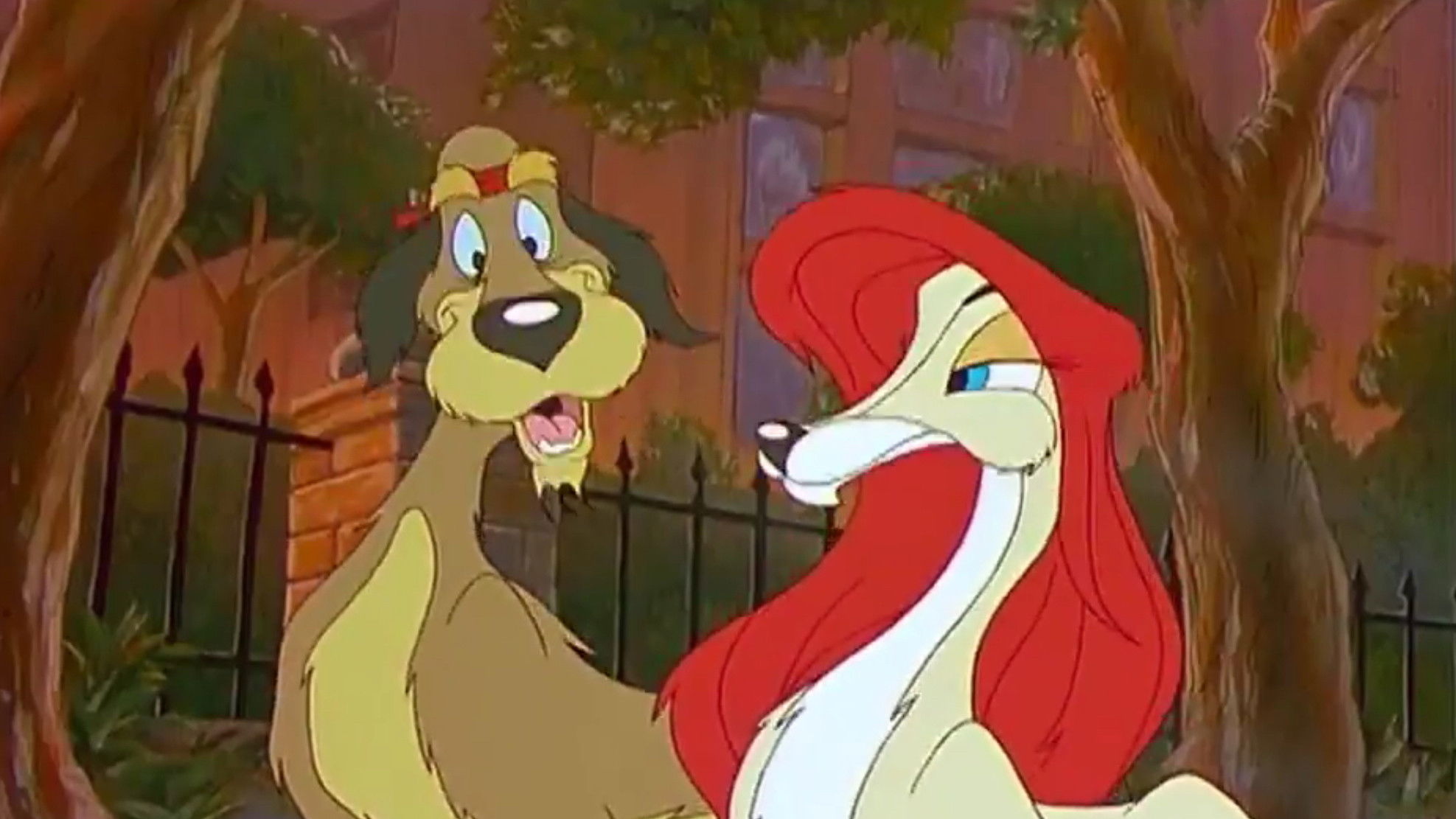 Backdrop for Millionaire Dogs