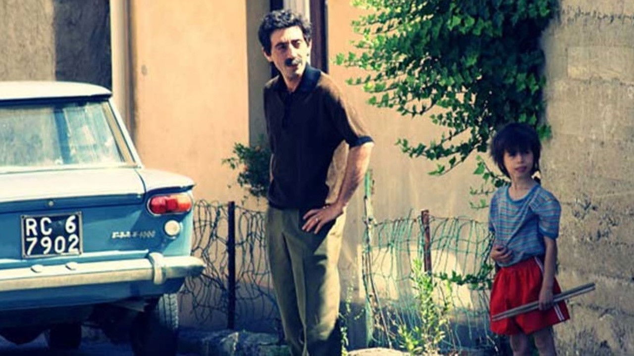 Backdrop for Donkey Flies