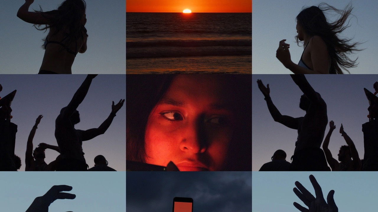 Backdrop for Wilderness