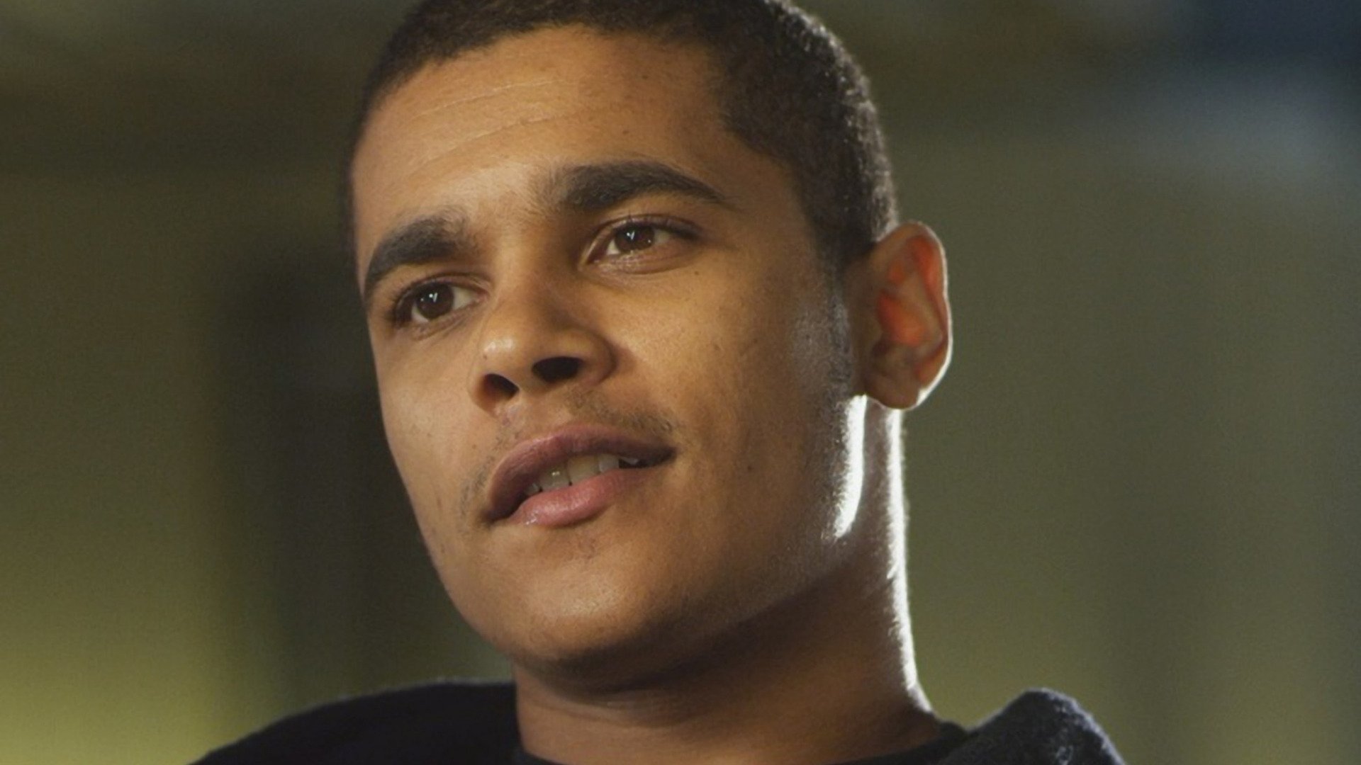 Backdrop for In the Hive