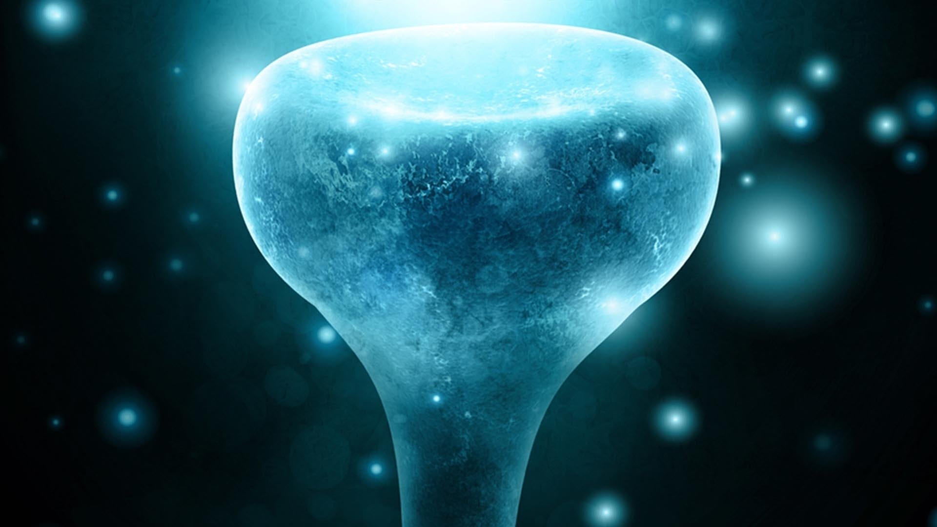 Backdrop for Neurons to Nirvana