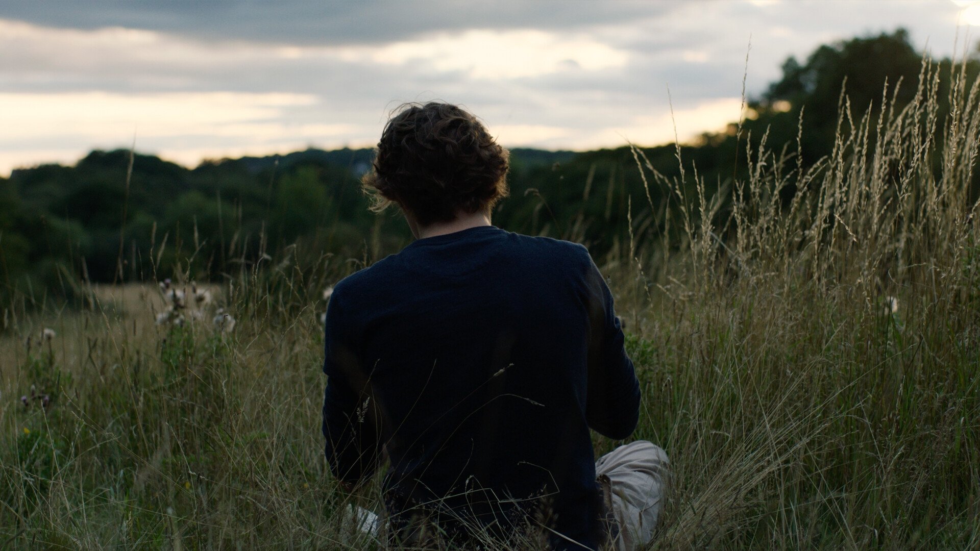 Backdrop for The Whistler