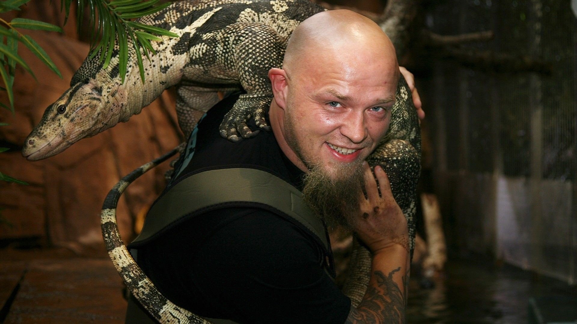 Backdrop for Akvariet