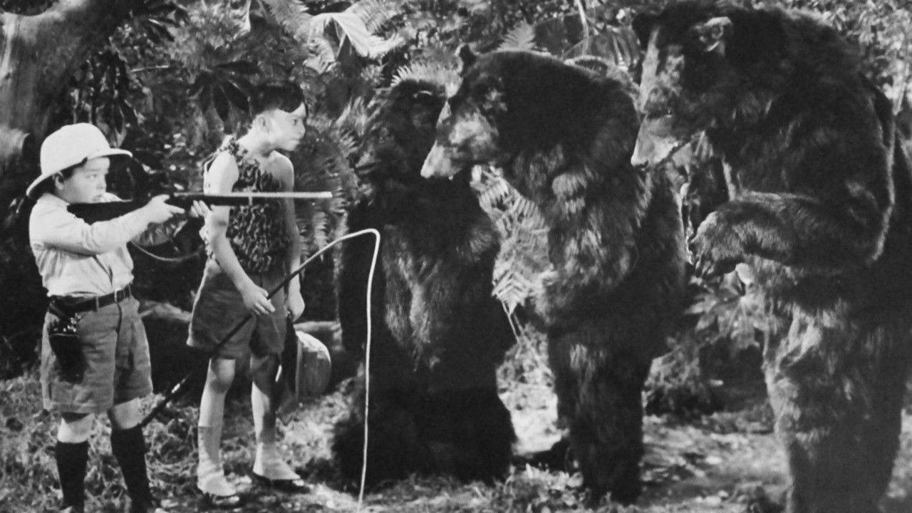 Backdrop for Bear Facts