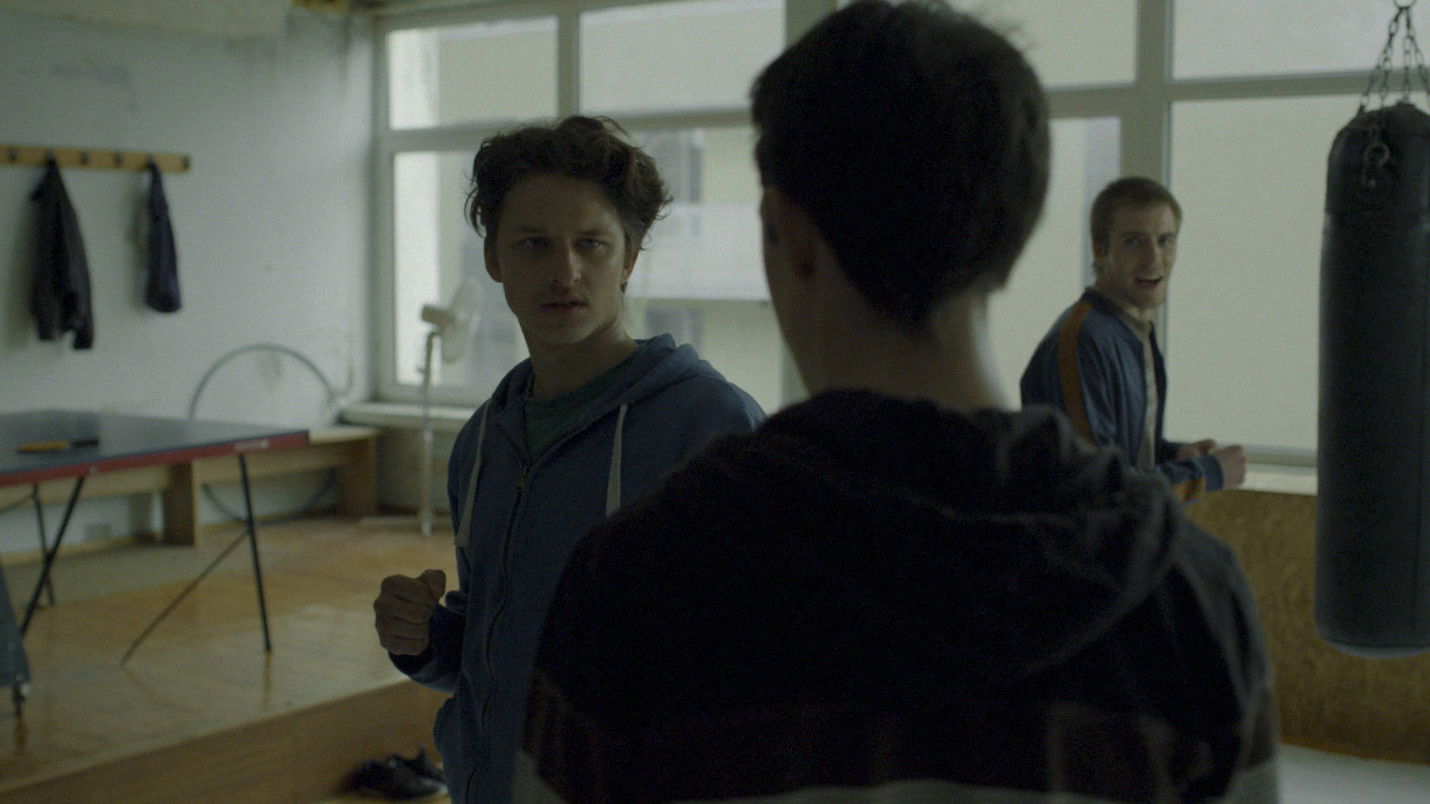 Backdrop for The Jungle