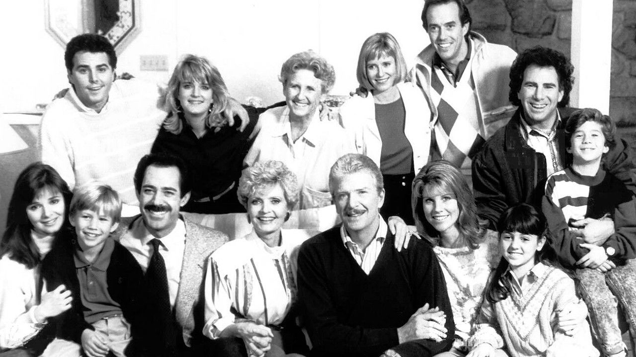 Backdrop for The Bradys