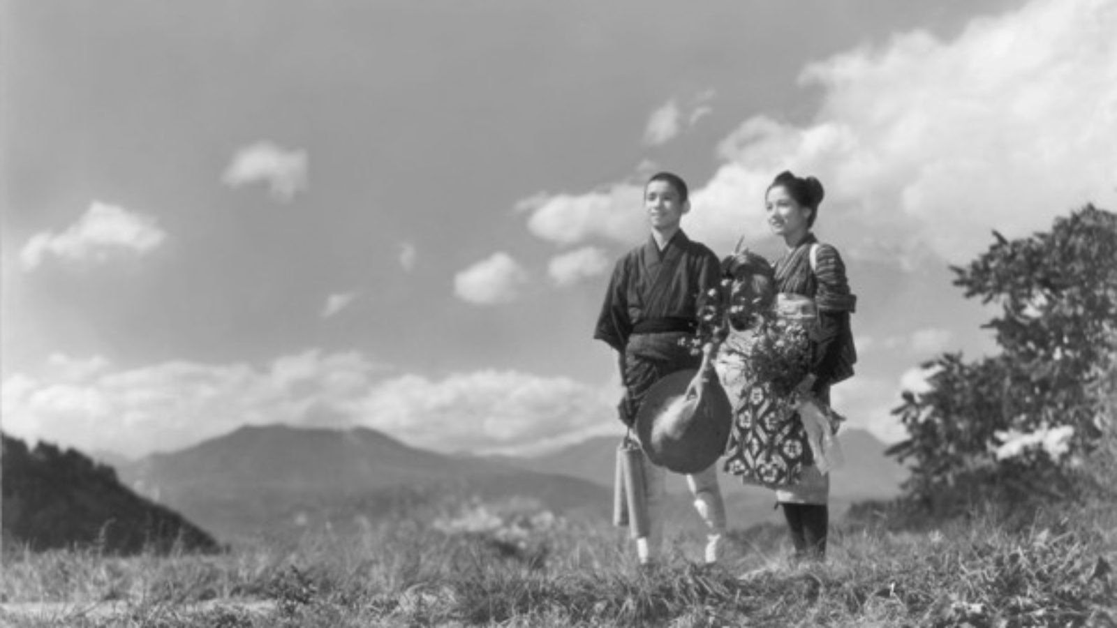 Backdrop for She Was Like a Wild Chrysanthemum