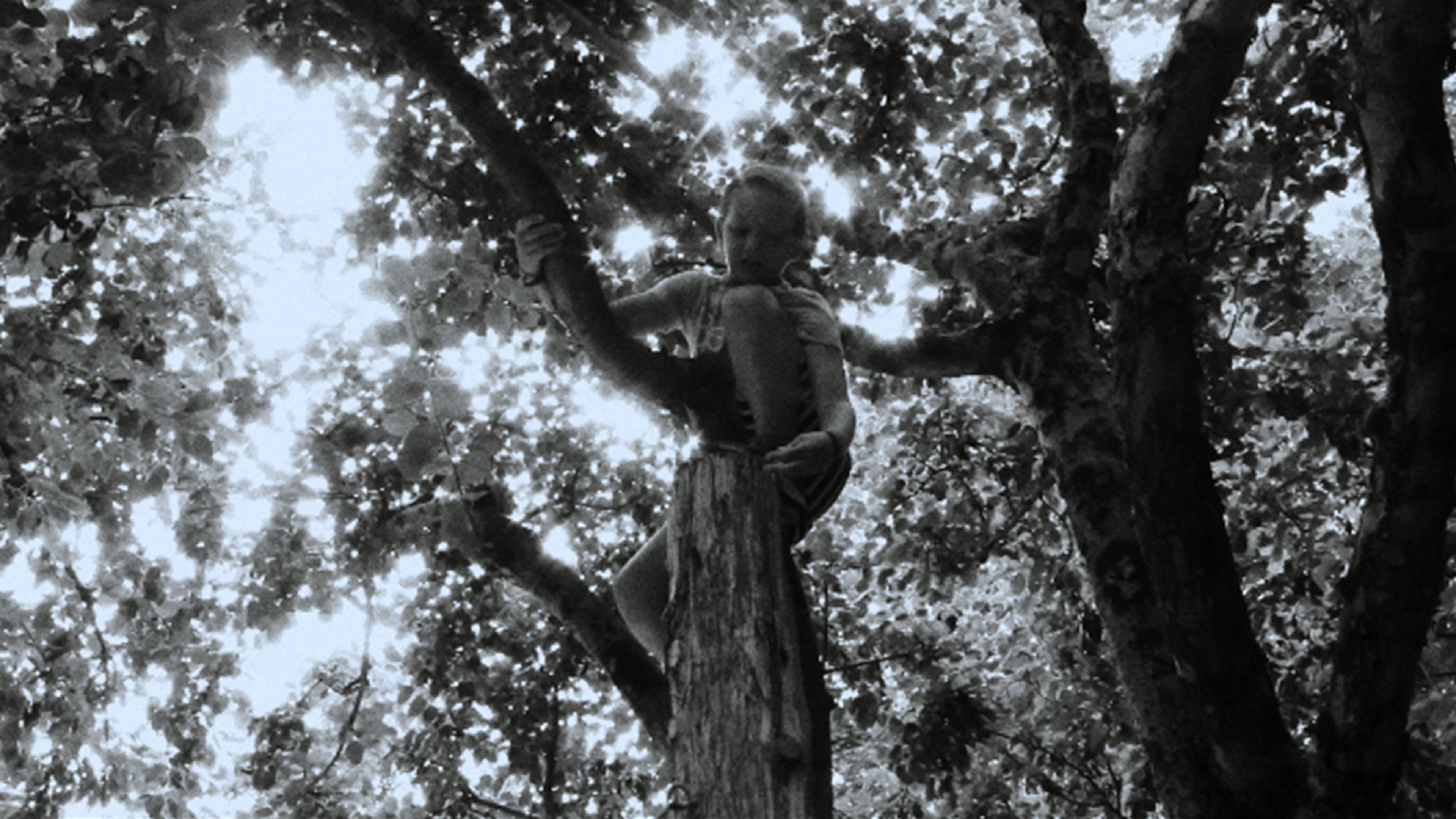 Backdrop for Oat Boy