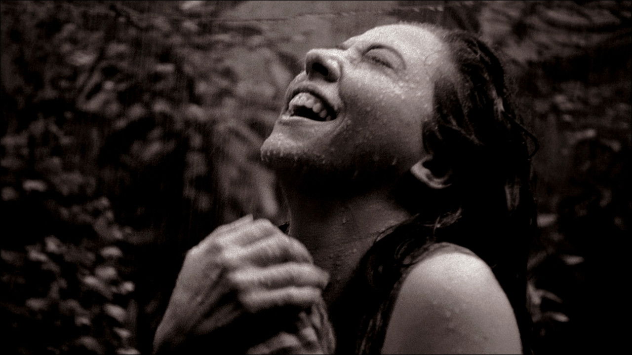 Backdrop for Cinema Novo