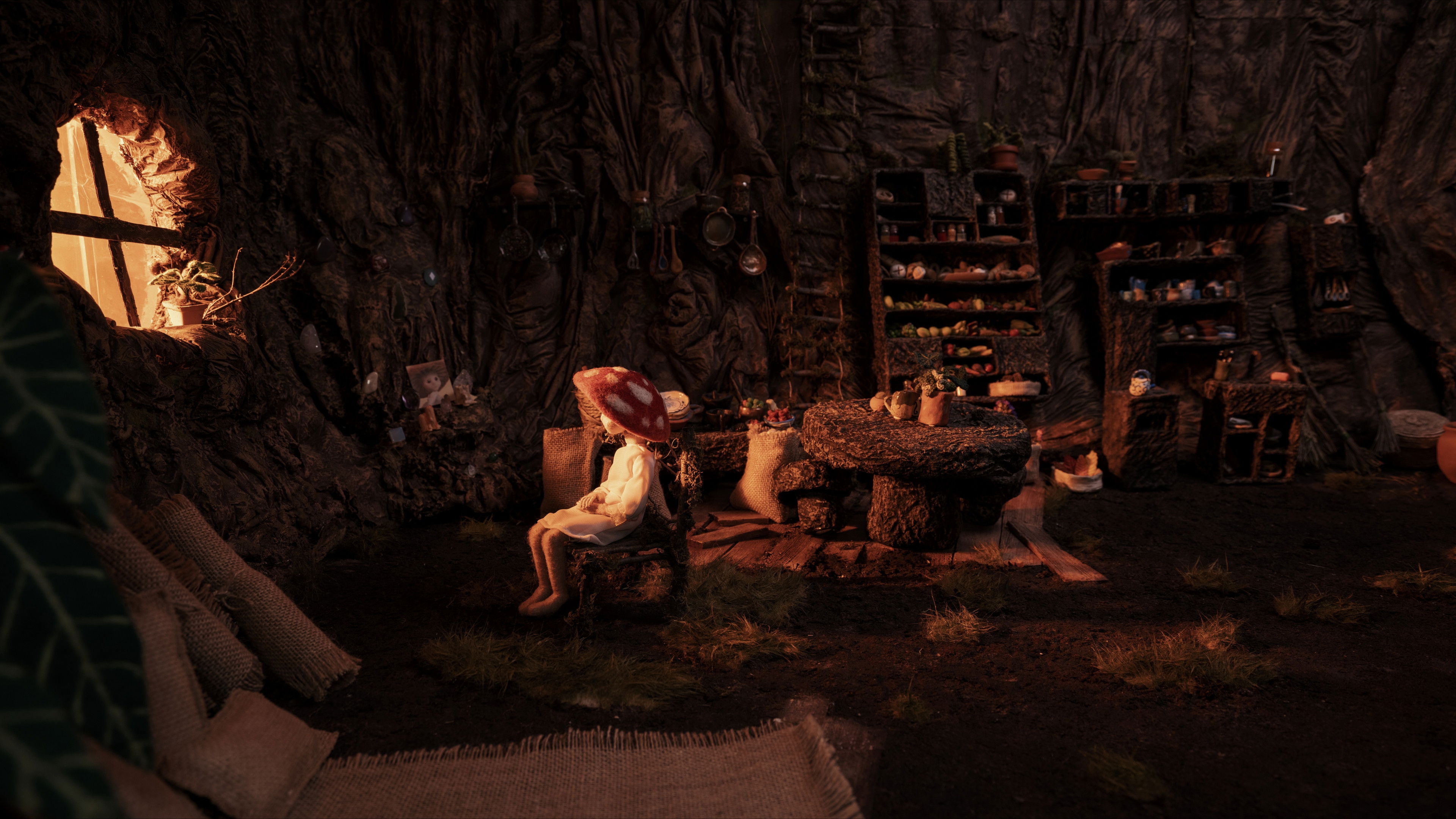 Backdrop for Amanita