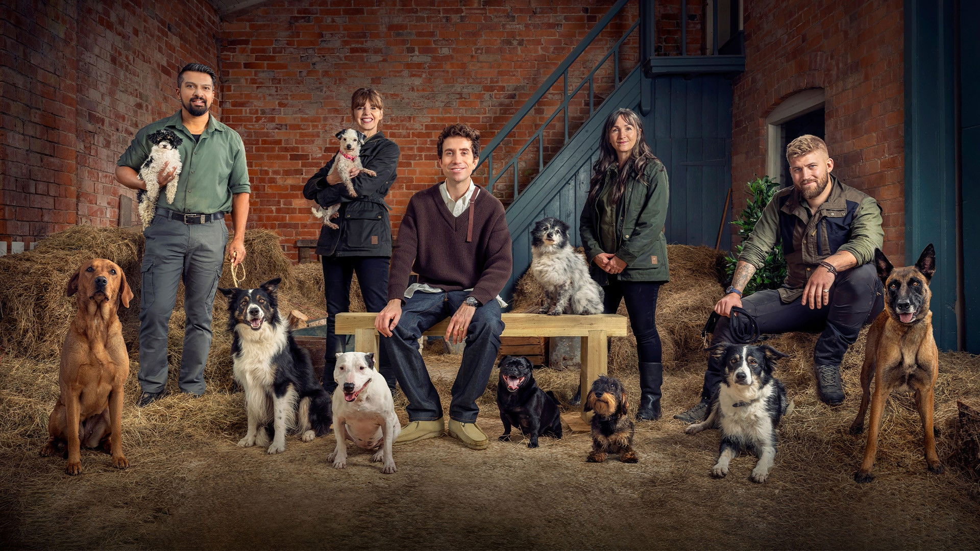 Backdrop for Bad Dog Academy