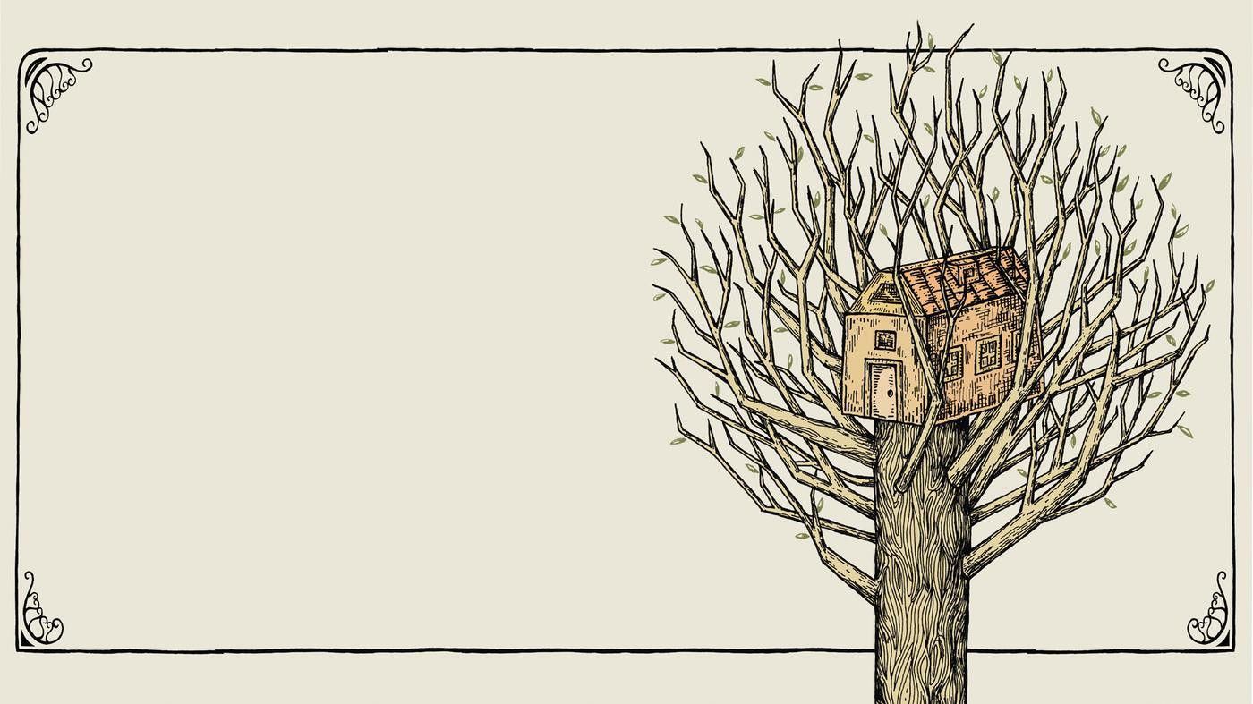 Backdrop for In House