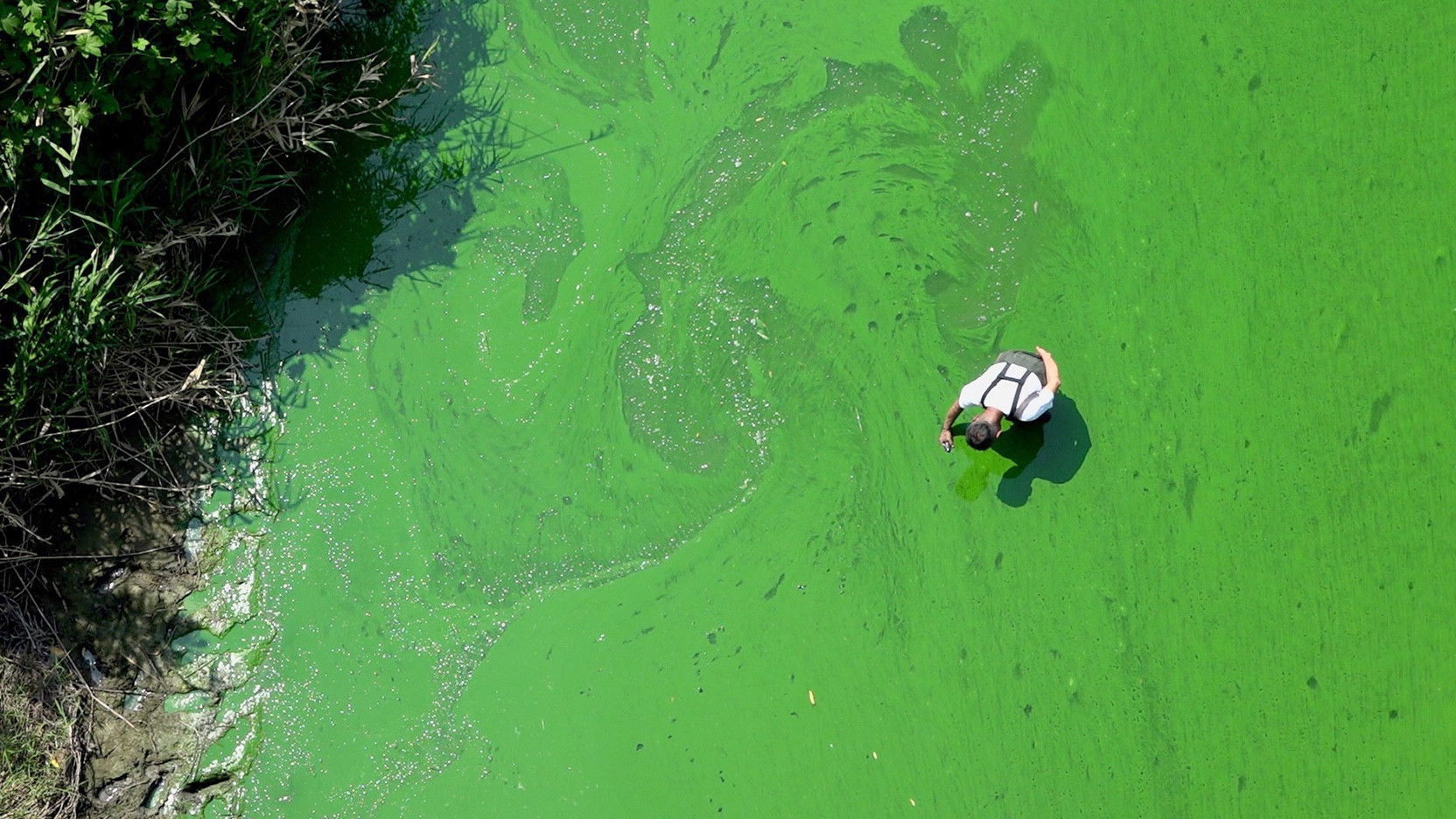 Backdrop for Rivercide: The Secret Six