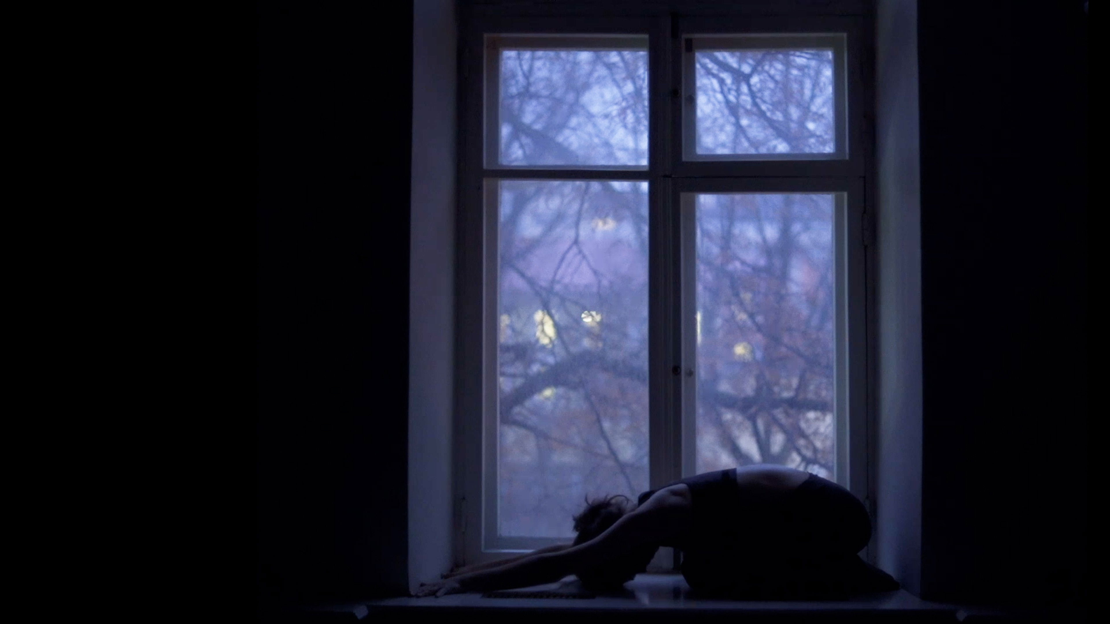 Backdrop for Leopolis Night