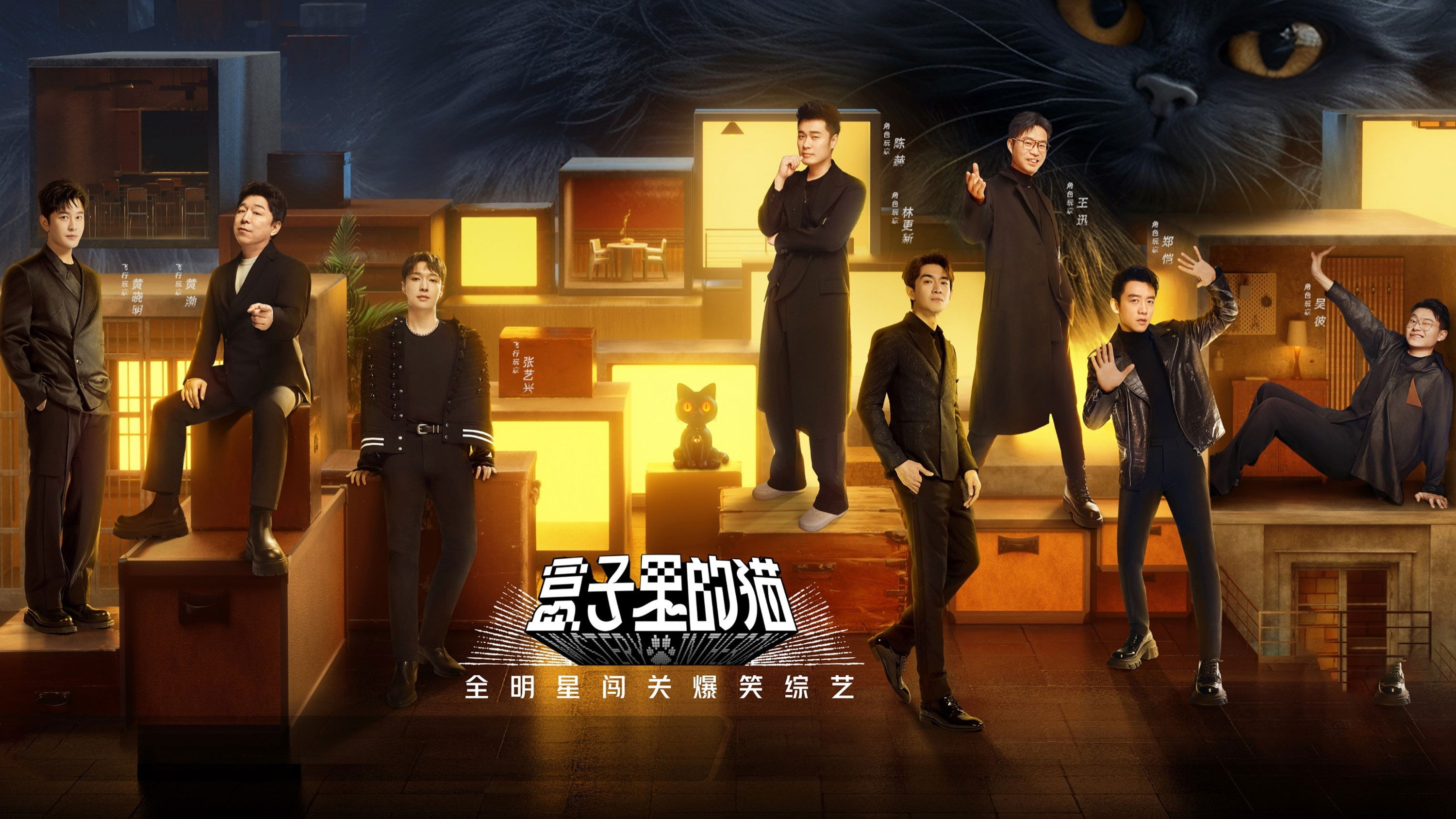 Backdrop for Mystery in the Box