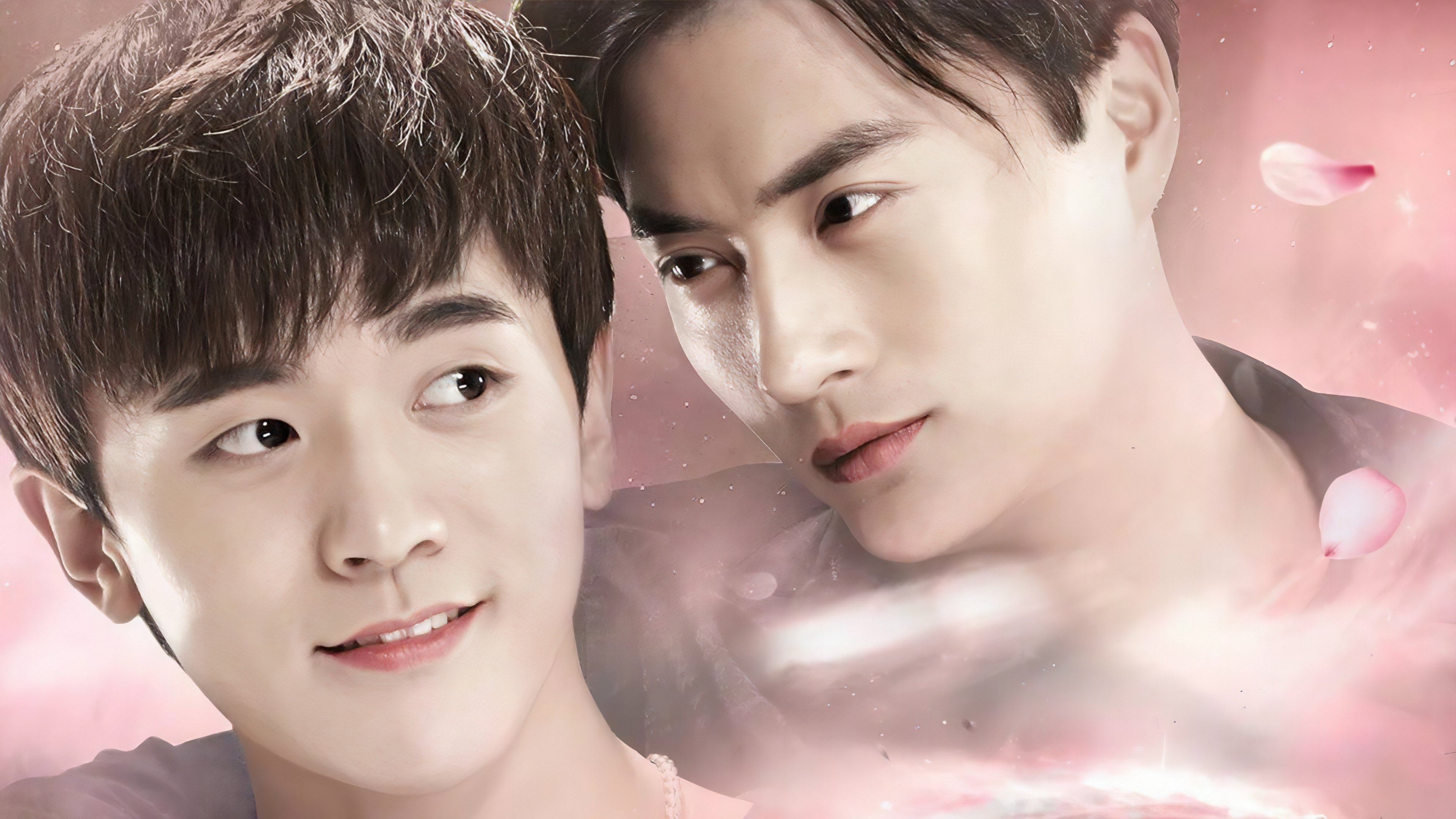 Backdrop for Bite Fight