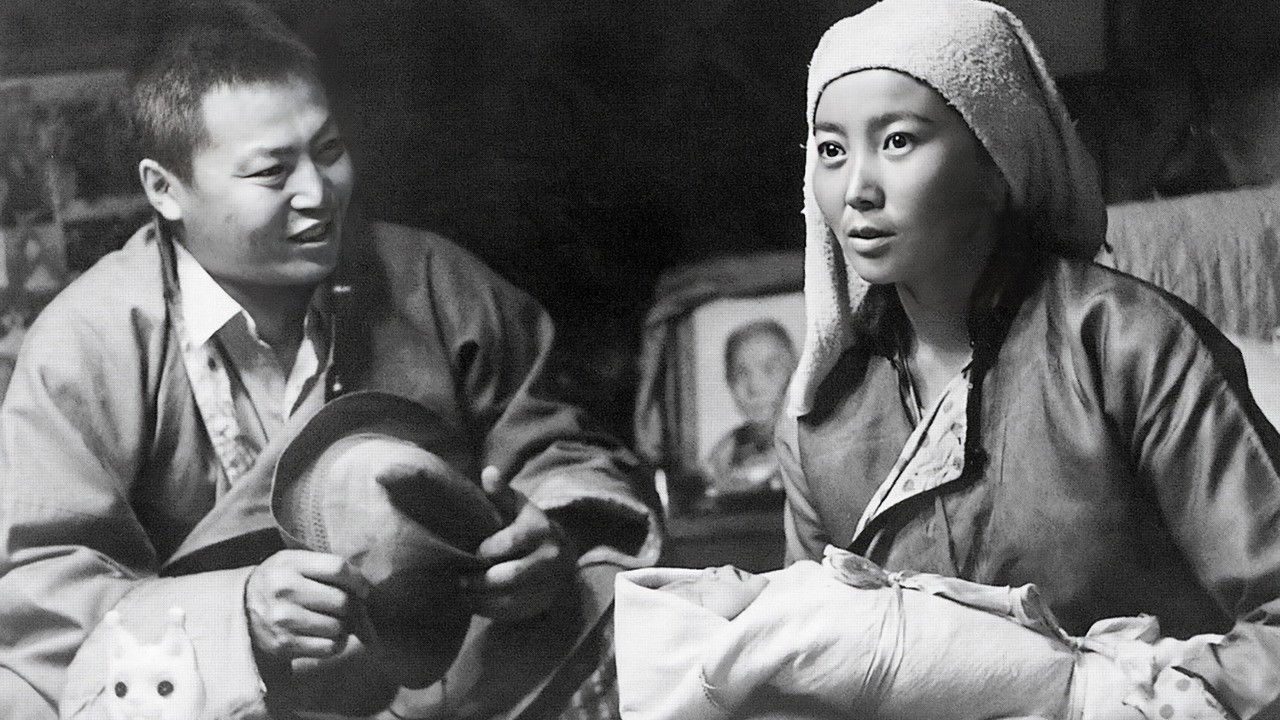 Backdrop for Umbilical Cord