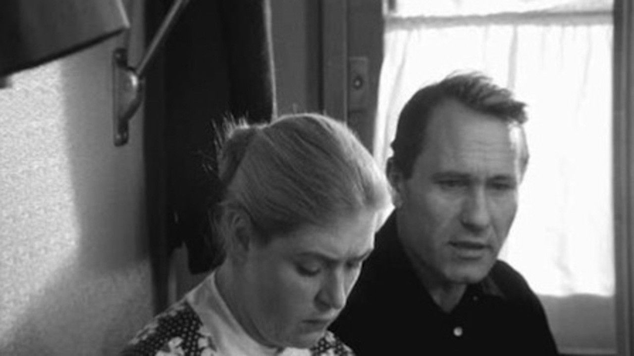 Backdrop for Happy-Go-Lucky