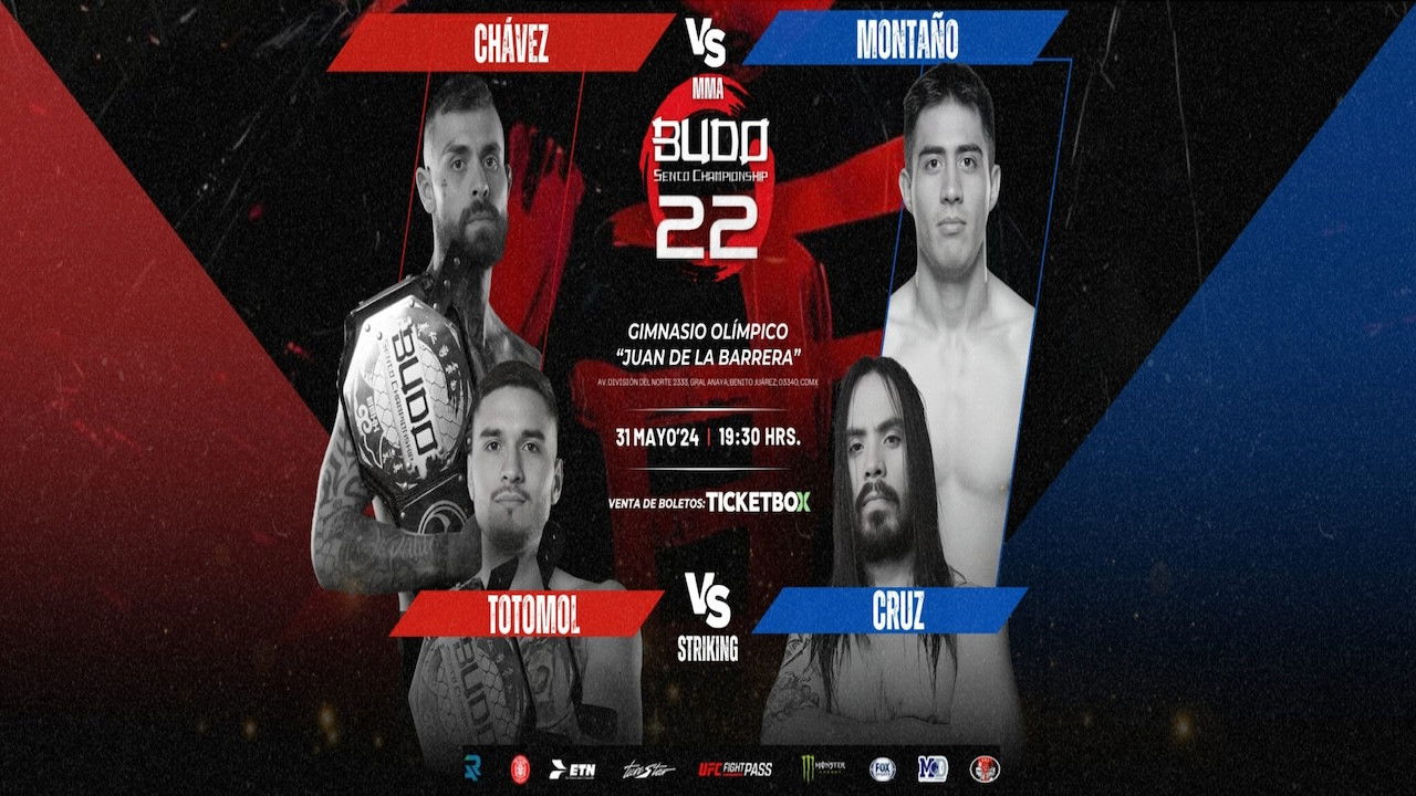 Backdrop for Budo Sento Championship 22