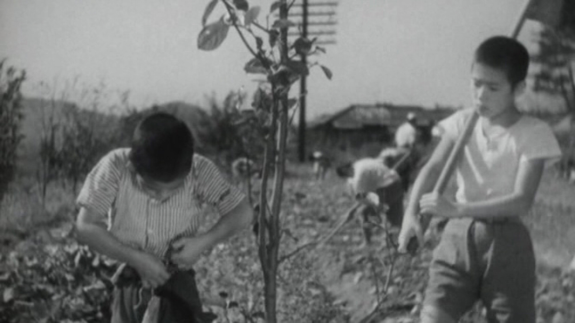 Backdrop for Introspection Tower