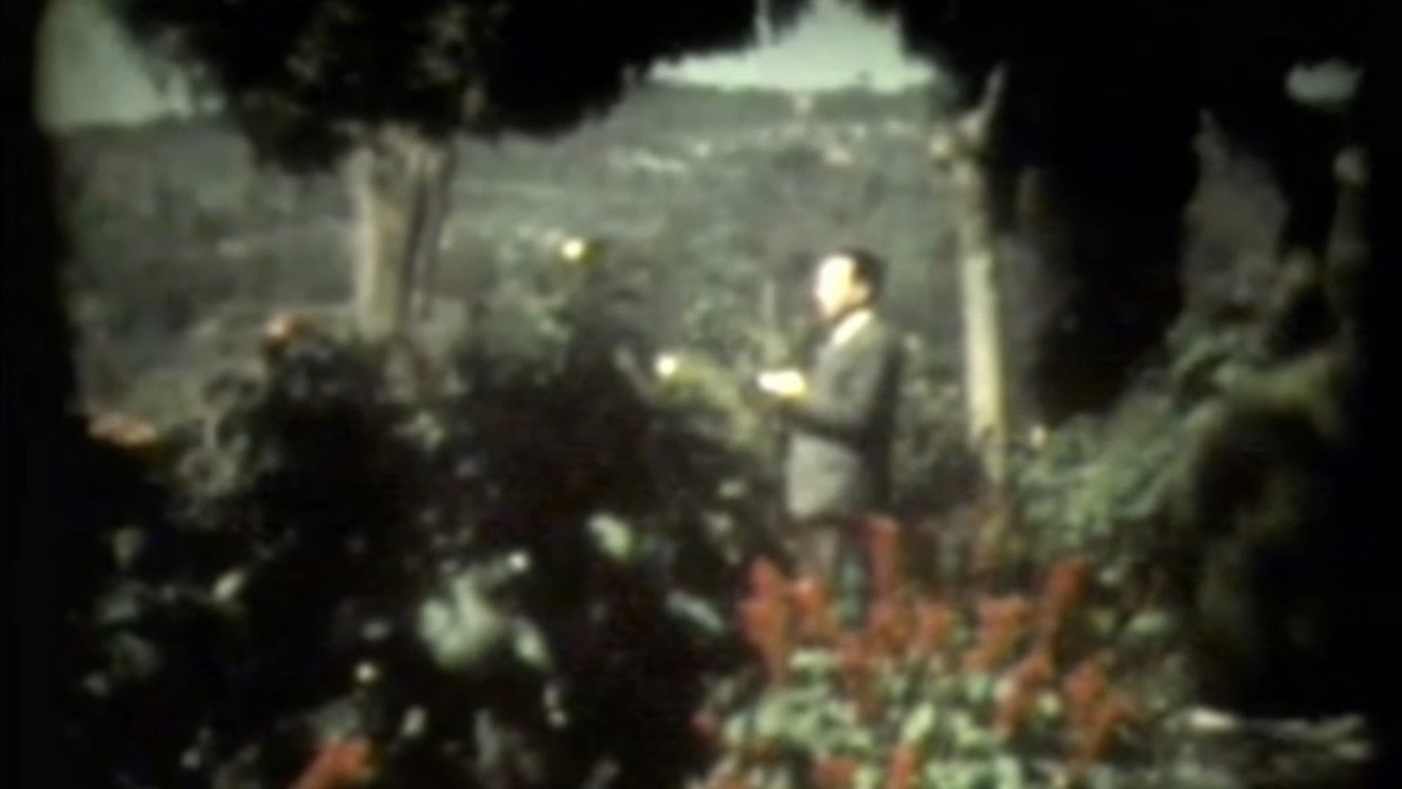 Backdrop for Vecchia Villa Comunale