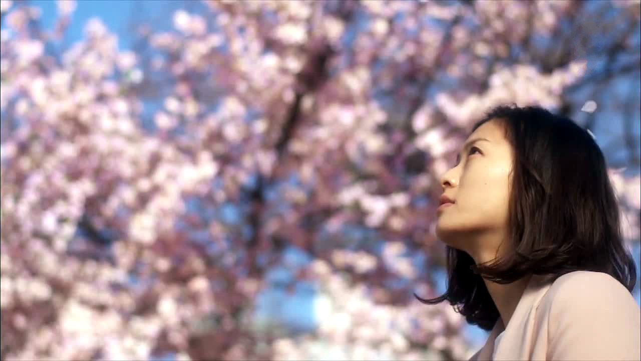 Backdrop for Testimony of N