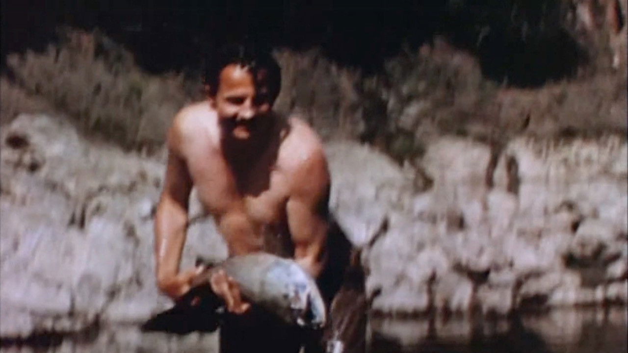 Backdrop for Fish Tales