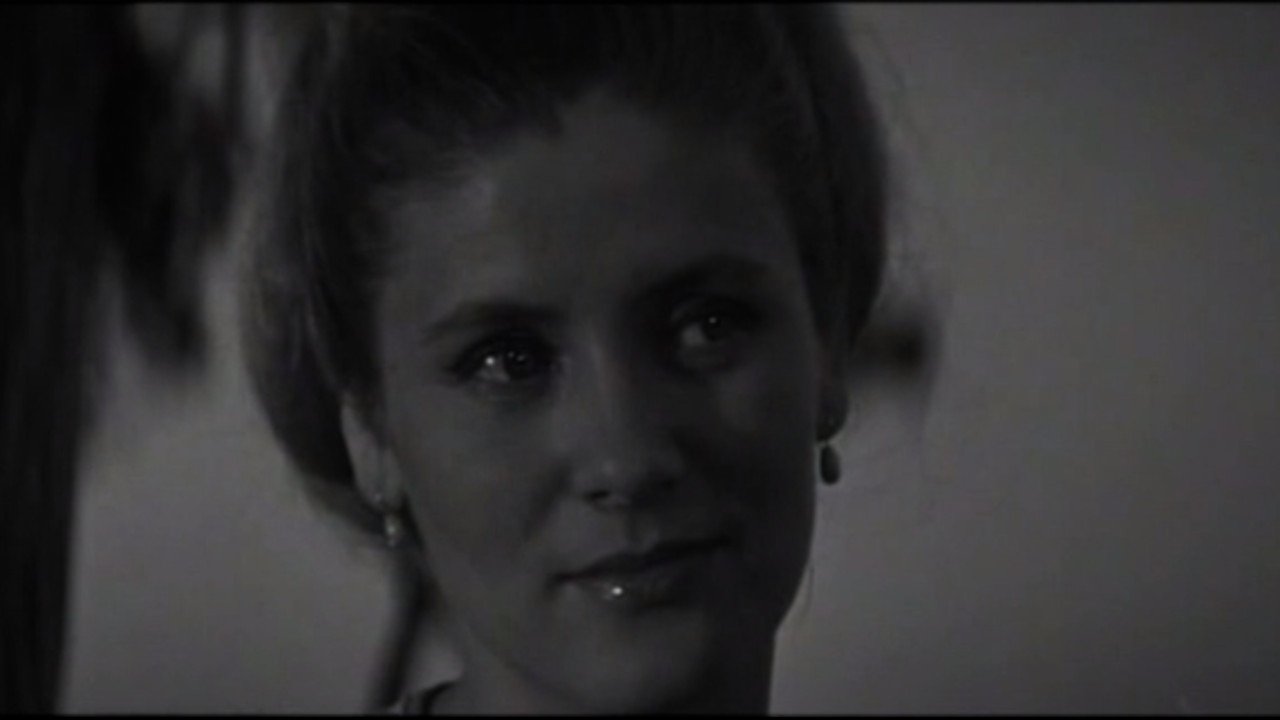 Backdrop for Wedding Day