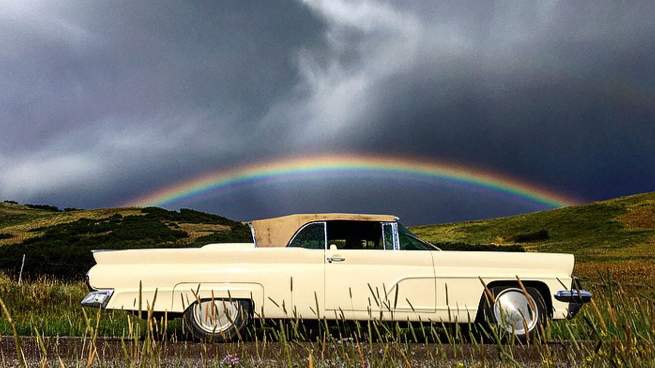 Backdrop for LincVolt