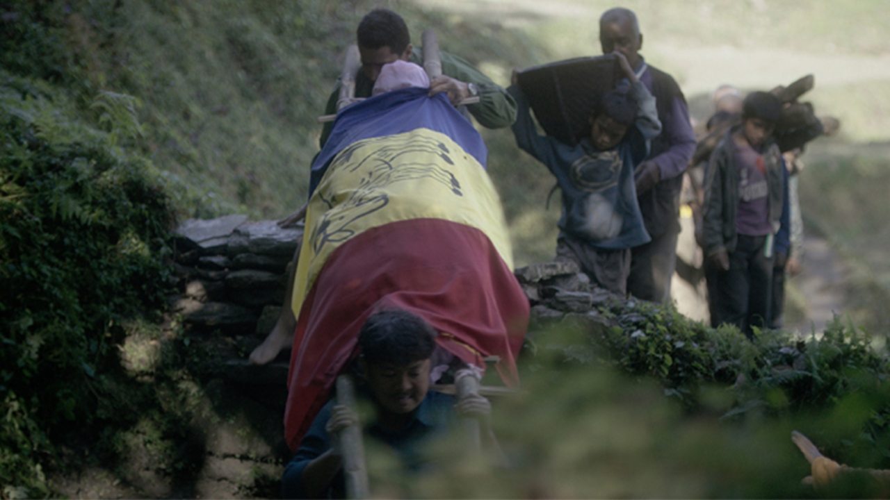 Backdrop for White Sun