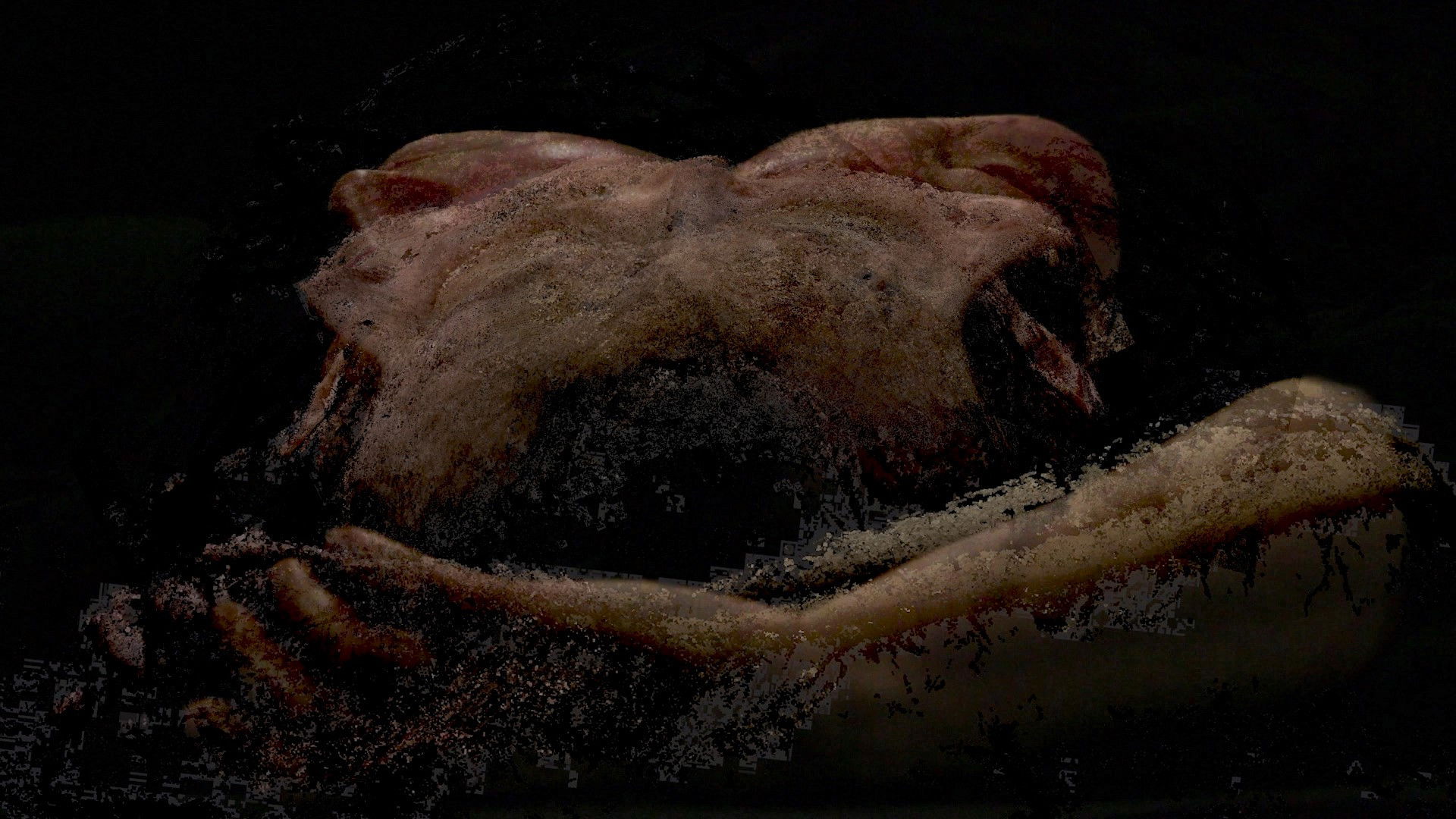 Backdrop for cadáver exquisito