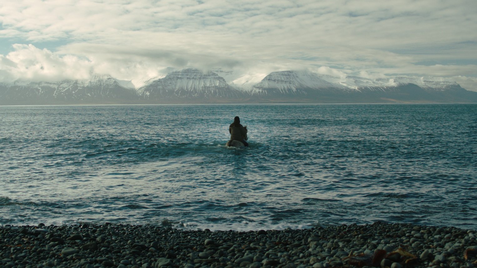 Backdrop for Of Horses and Men