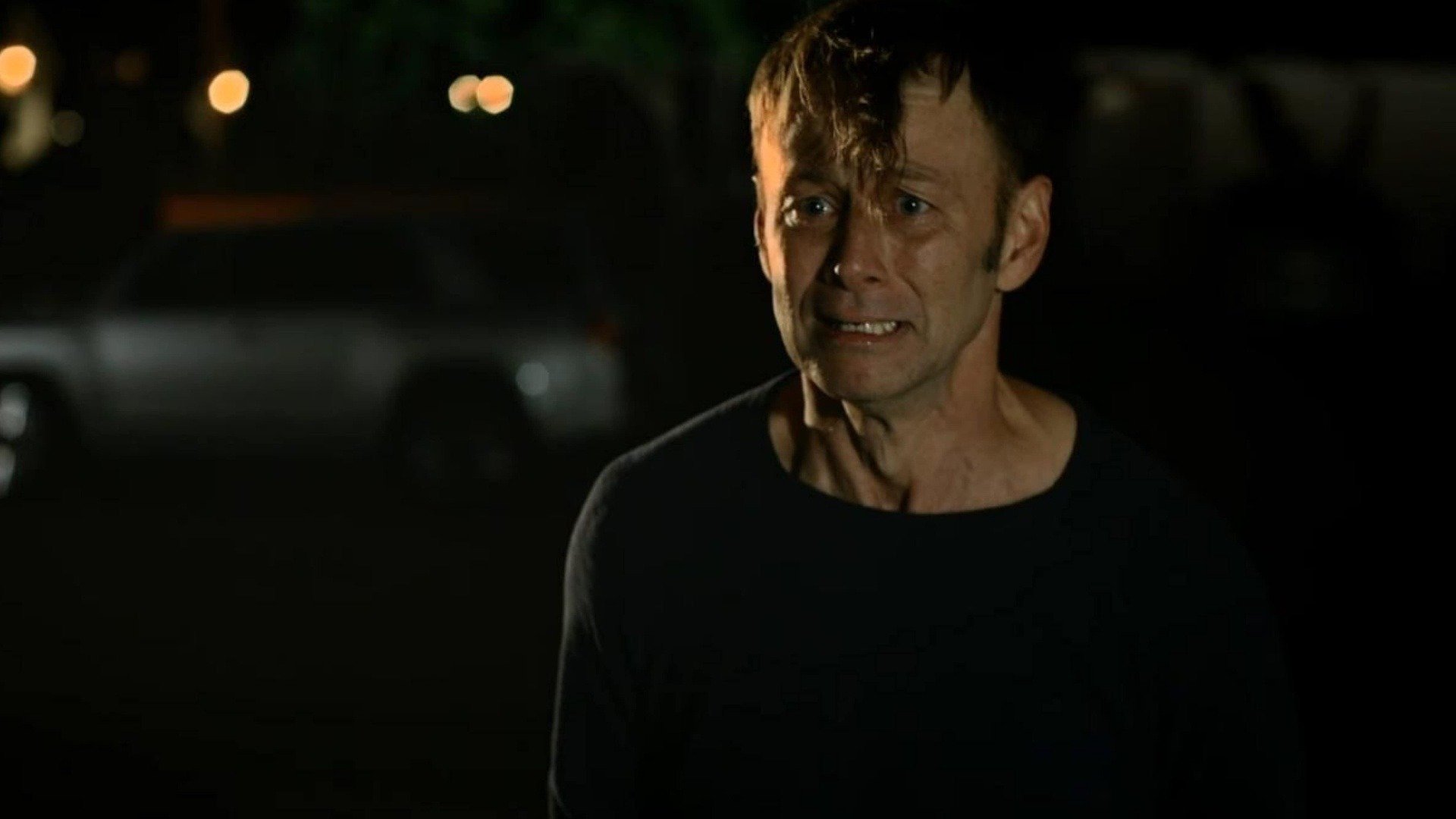 Backdrop for Trunkfish