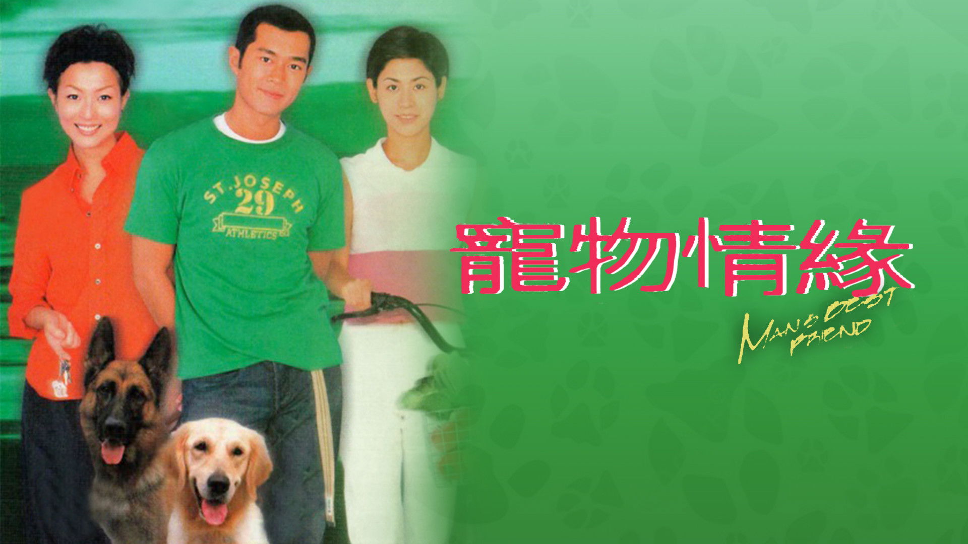 Backdrop for Man's Best Friend