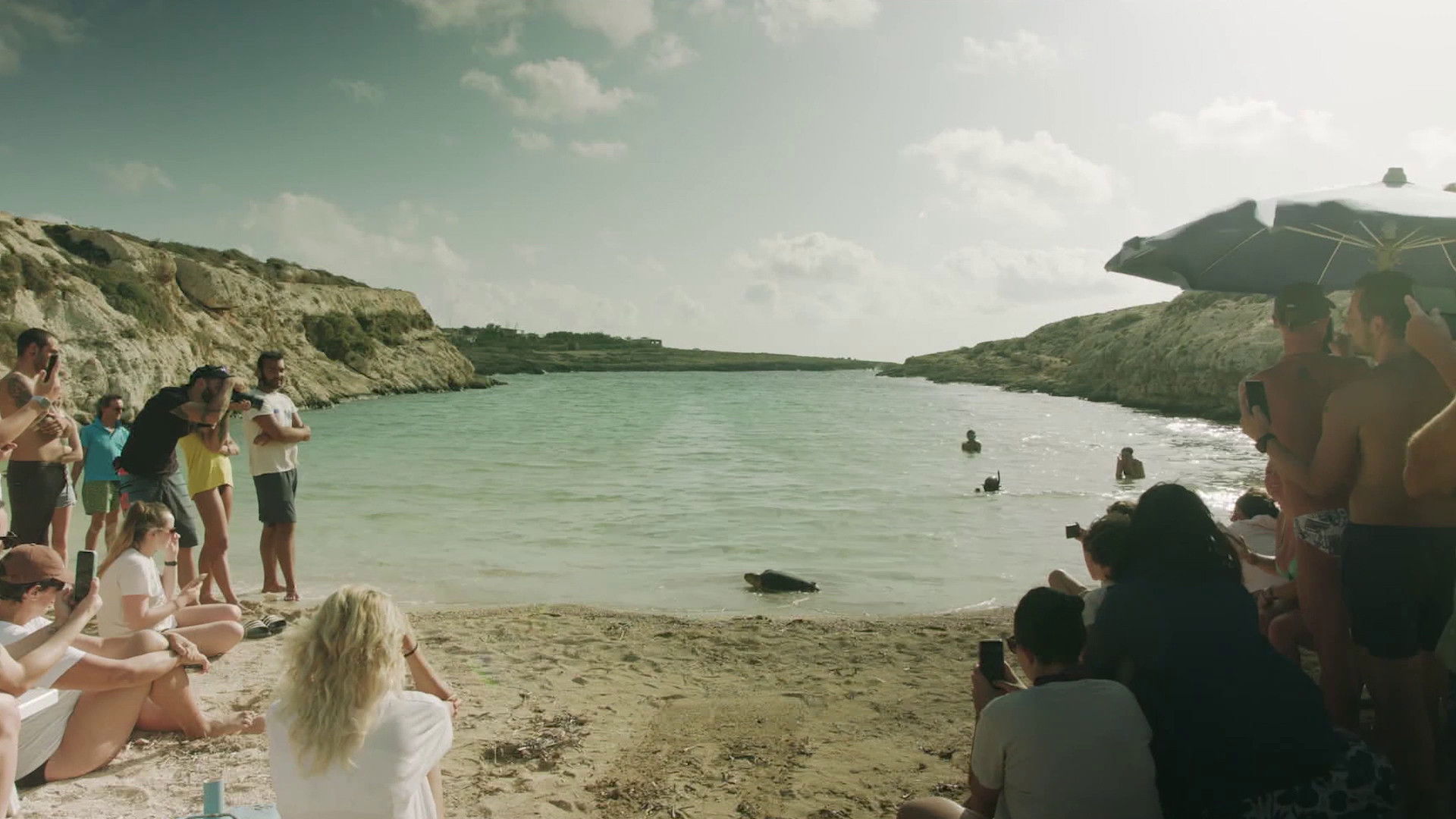 Backdrop for The Last Island